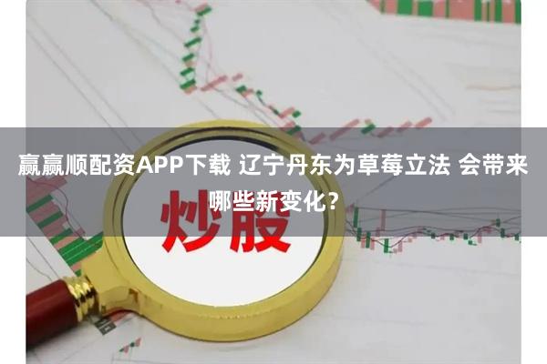 赢赢顺配资APP下载 辽宁丹东为草莓立法 会带来哪些新变化？