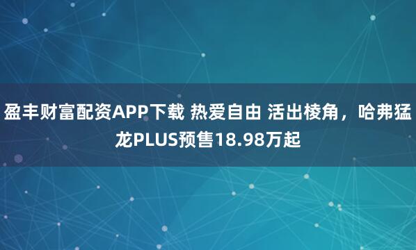 盈丰财富配资APP下载 热爱自由 活出棱角，哈弗猛龙PLUS预售18.98万起